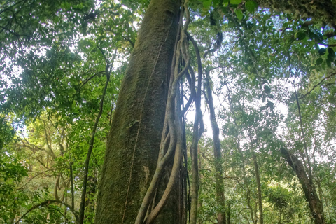 Dois dias no parque nacional Doi Inthanon