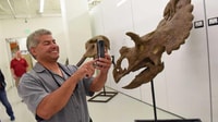 Denver, Museum of Nature and Science Admission Ticket - Housity