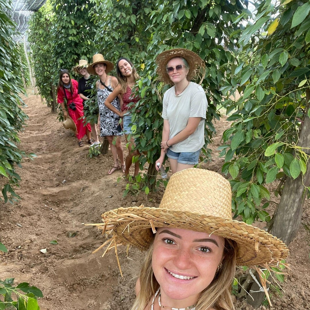 Colagem de mídia
