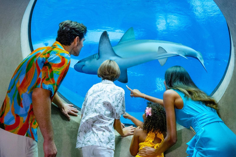 Passin Miami: 30+ Attractions, eSIM & 1-Way Airport Transfer 3 Day Passin