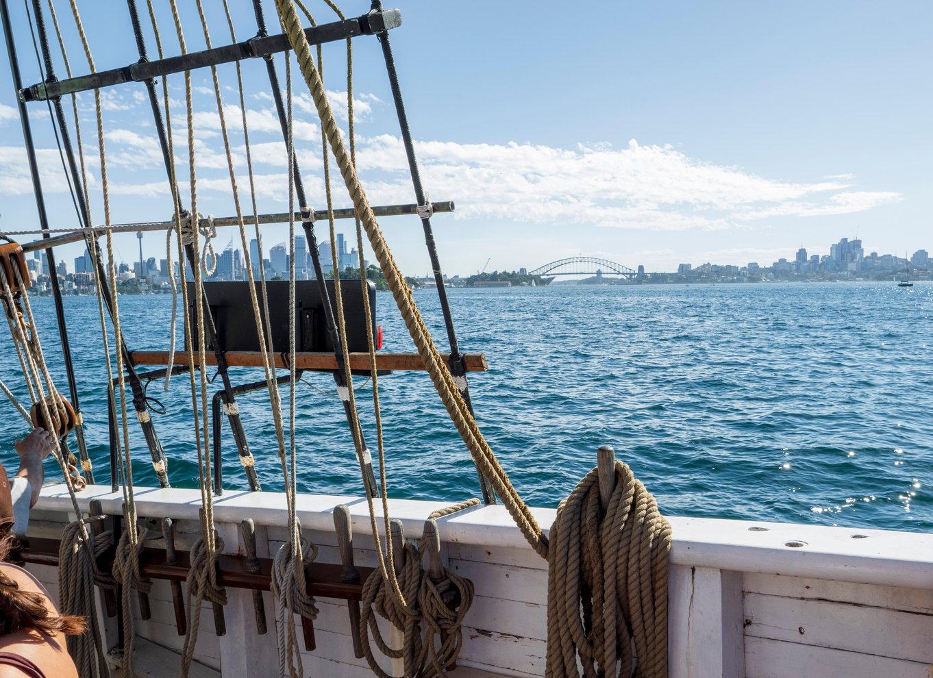 Sydney Havn: Eftermiddagskrydstogt med store skibe