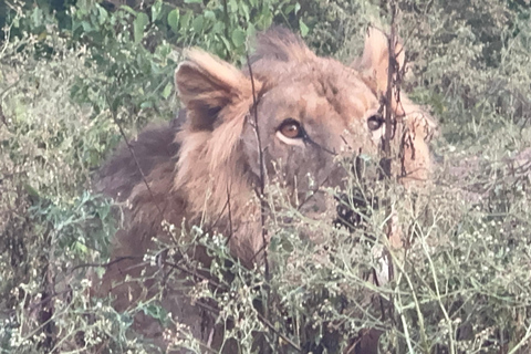 7 Day Rwanda Uganda Culture and Primate Safari Adventure