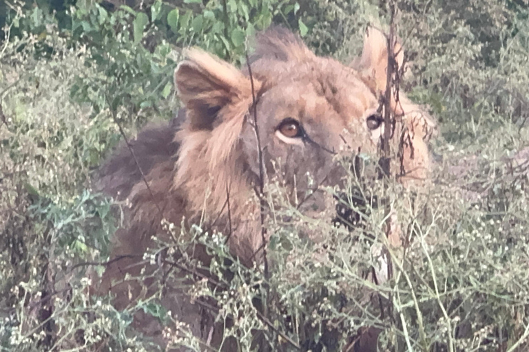 7 Day Rwanda Uganda Culture and Primate Safari Adventure