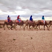 Agafay Sunset Quad, Camel Riding & Dinner Show
