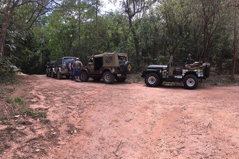 Aventure en Jeep à Paraty : sentier écologique, distillerie et baignade dans la rivièreAventure en Jeep à Paraty : parcours écologique, distillerie et baignade dans la rivièr