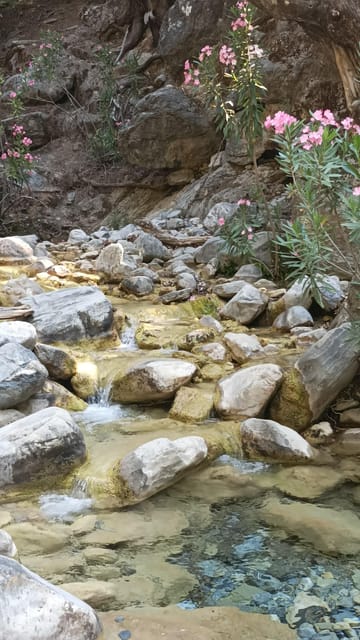 Samaria Gorge Private Transfer from Chania - Housity