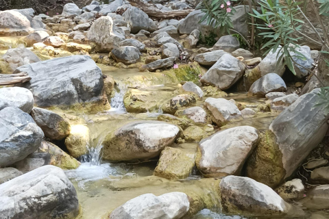 Chania: Samaria Gorge Private Transfer
