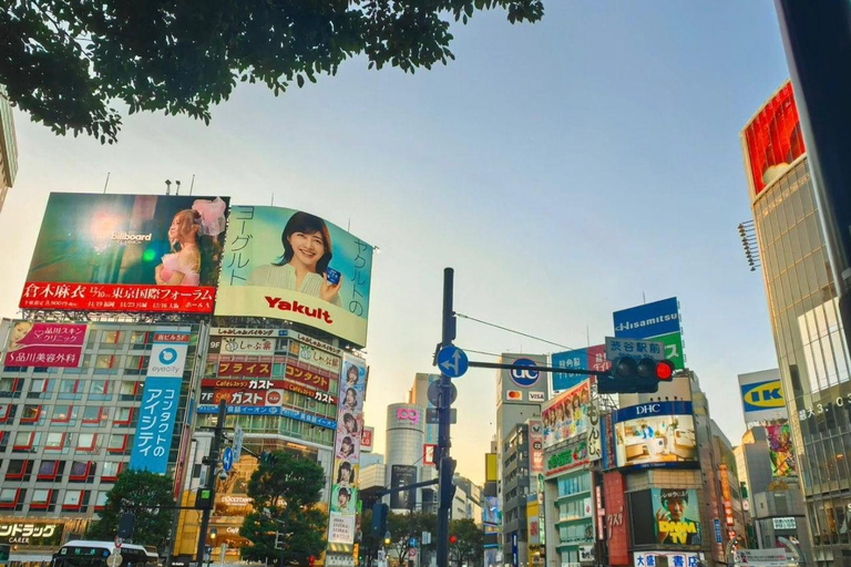 Tour de la ciudad de Tokio con conductor de habla inglesa.