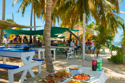 From Uvero Alto: Classic Catamaran Cruise to Saona Island