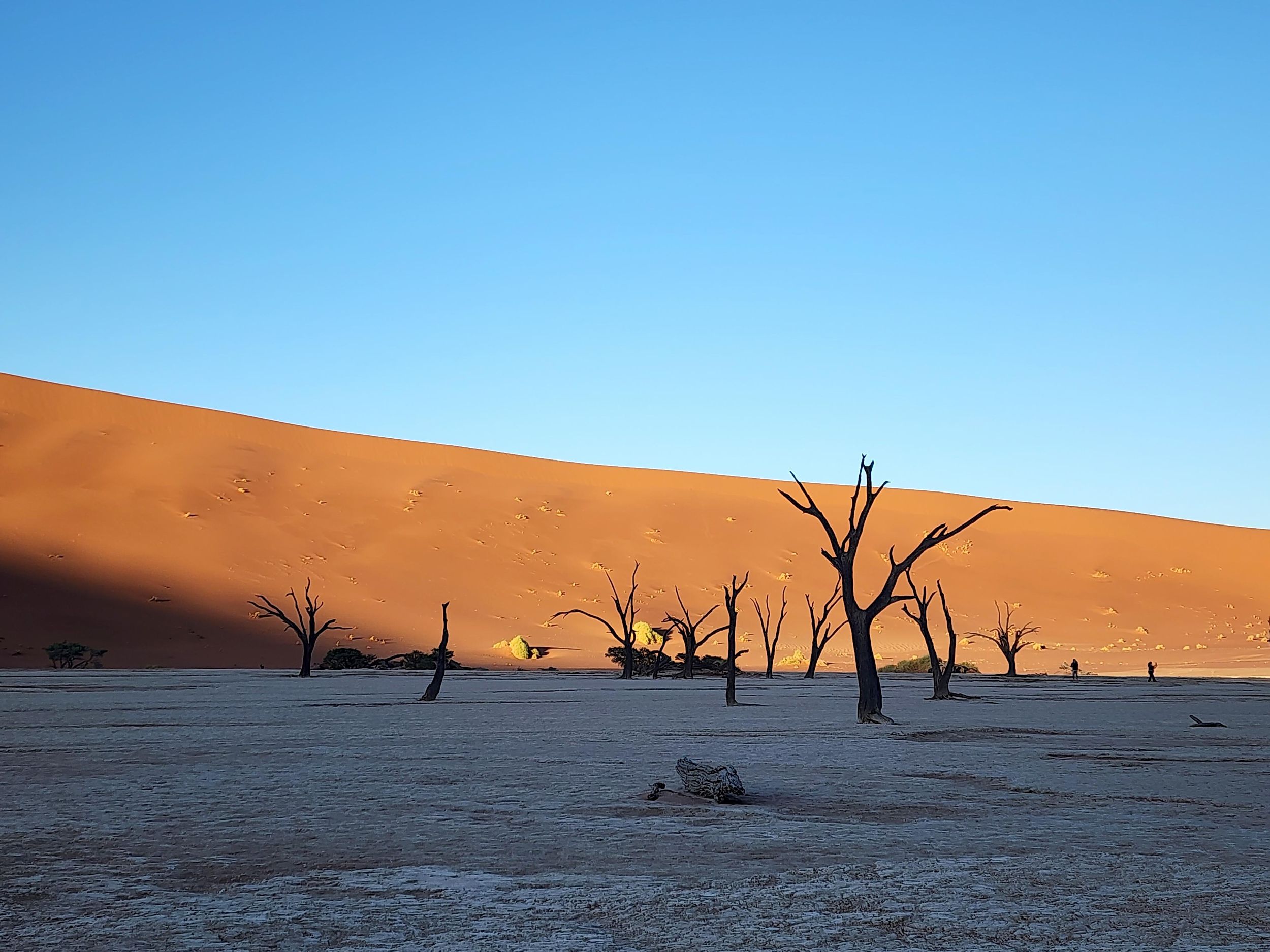 Sossusvlei: 3-tägiges Sossusvlei-Abenteuer mit dem Geländewagen