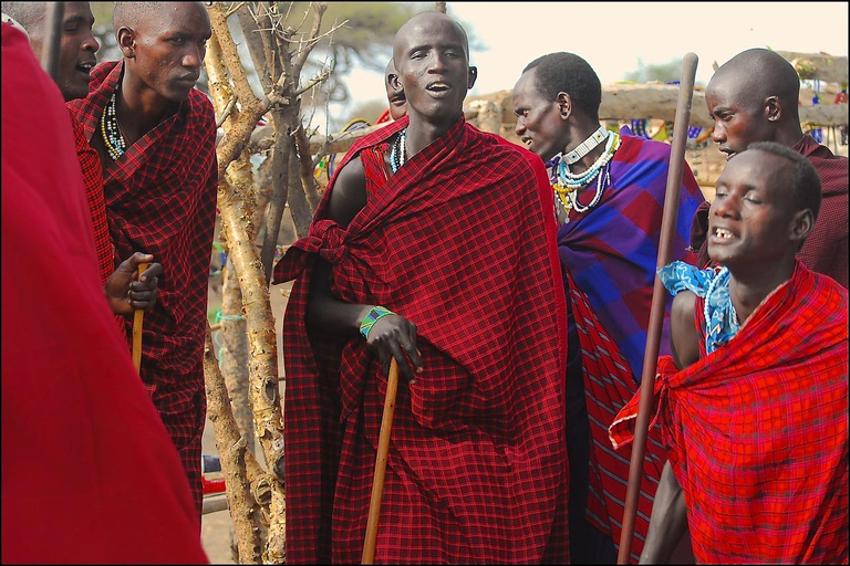 Safaris de 3 DÍAS con elefantes en Tarangire y el cráter del NgorongoroSafaris de 3 días con elefantes en Tarangire y el cráter del Ngorongoro