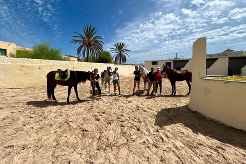 Djerba: Lezione di equitazione per principianti per adulti e bambini.