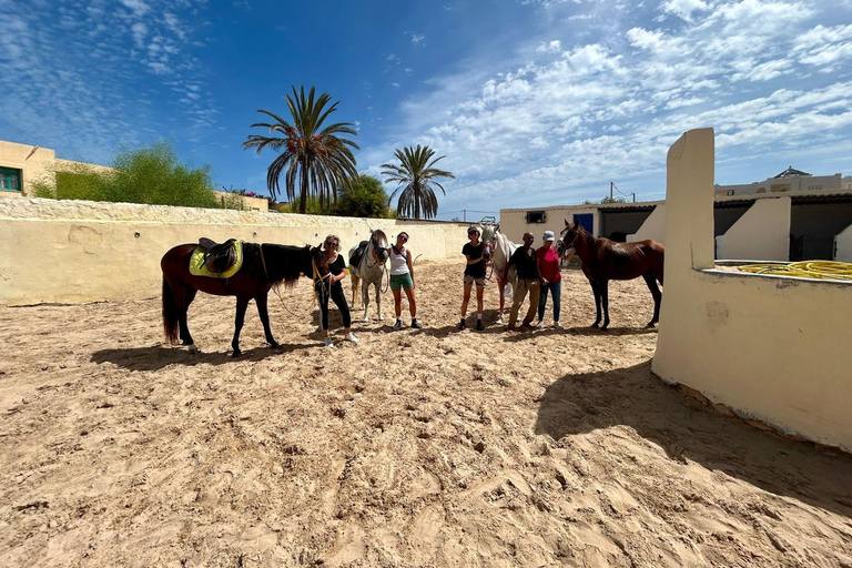 Djerba: Beginner Horse Riding Lesson for Adults and Children.