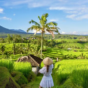 Bali: UNESCO World Heritage Tour with German Guide & Lunch Bali: UNESCO World Heritage Tour with German Guide & Lunch