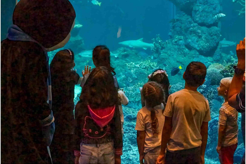 Muscat: Inträdesbiljett till Oman Aquarium