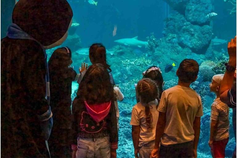 Muscat: Inträdesbiljett till Oman Aquarium