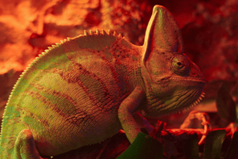 Mexico City: Fast Pass Ticket to Acuarium Inbursa