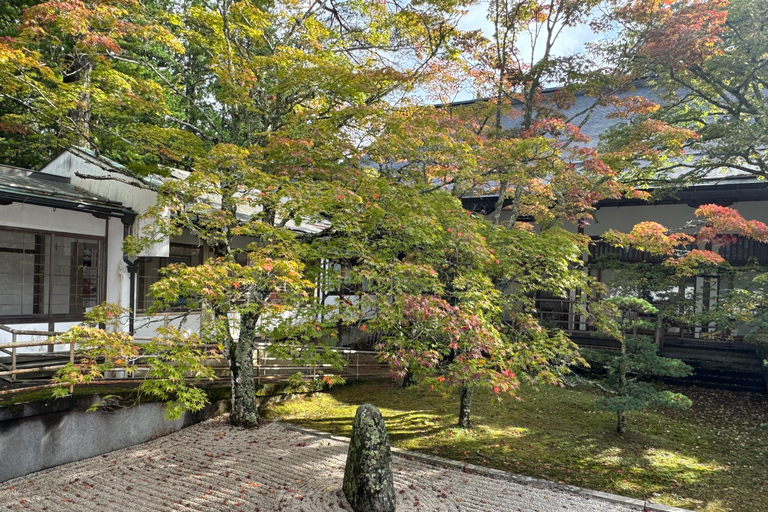 Z Osaki: prywatna wycieczka 1-dniowa z przewodnikiem do Koyasan (miejsce wpisane na listę UNESCO)