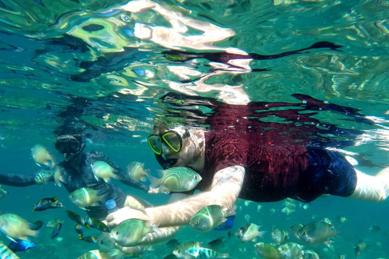 Lombok: Gili Nanggu, Sudak i Kedis - prywatna wycieczka snorkelingowaPrywatna wycieczka Snorkeling Tour (z miejscem zbiórki)