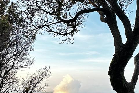 Från Malang: Delad Bromo Sunrise Tour med frukost