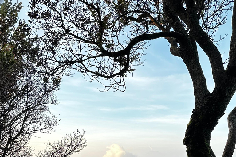 Från Malang: Delad Bromo Sunrise Tour med frukost