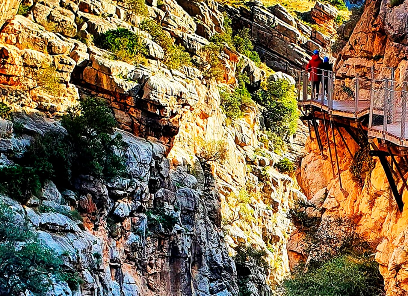 Málaga: Caminito del Rey guidet tur med transport