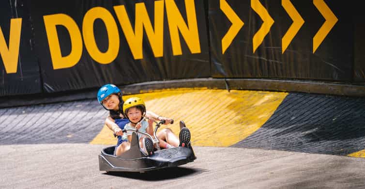 Singapore: Skyline Luge Sentosa Entry Ticket photo 9