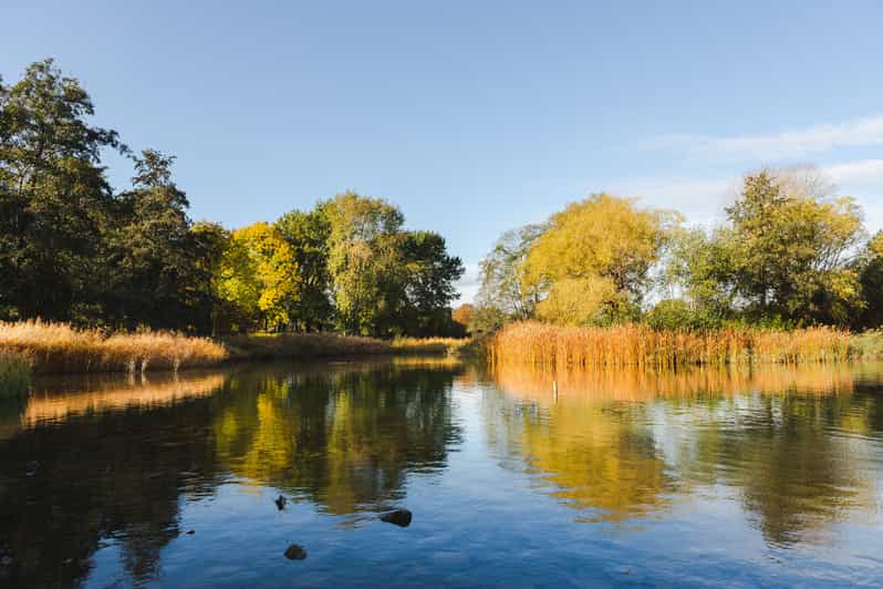 Führungen durch den Britzer Garten GetYourGuide
