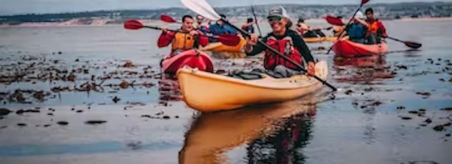 Monterey : Visite en kayak de Cannery Row