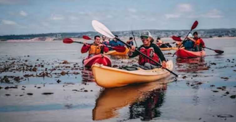 Kayak Fishing in Monterey Bay: A Complete Guide [2024] - Kayak Connection