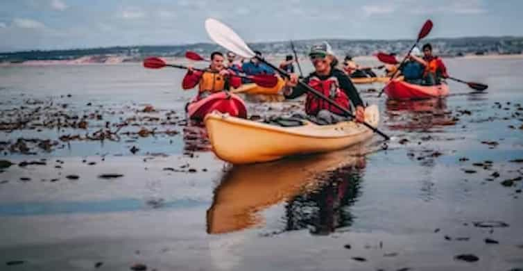 Kayak Fishing in Monterey Bay: A Complete Guide [2024] - Kayak Connection