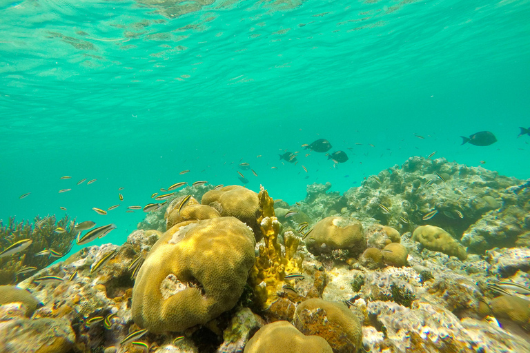 From Fajardo: Icacos Island Boat Trip and Beach Day Package