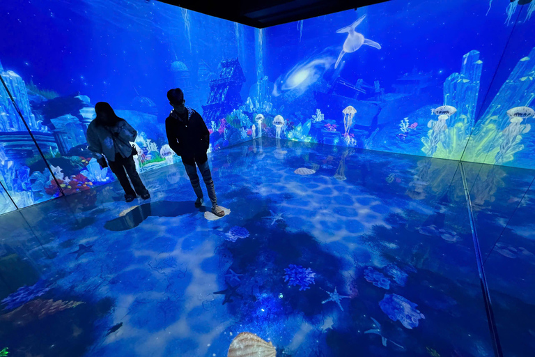 Hanoi: X Space Immersive Digital Art Experience Entry Ticket