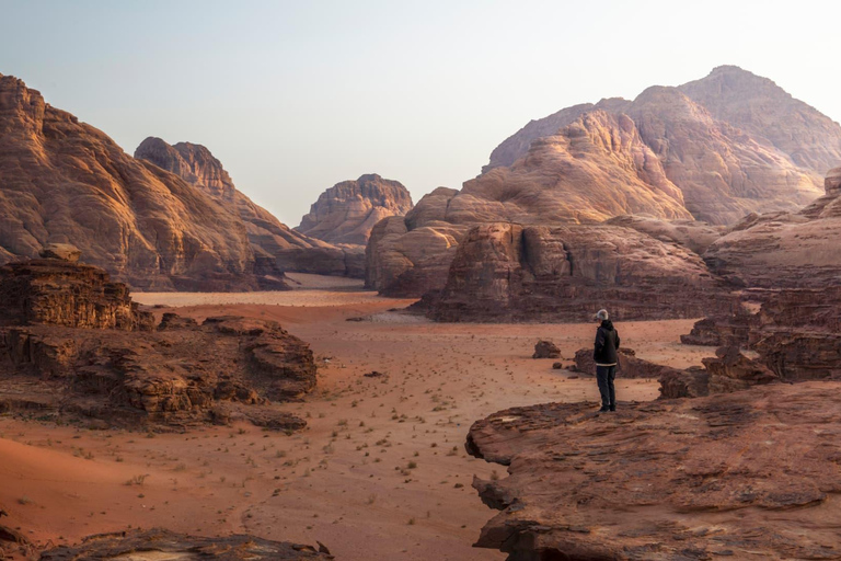 Wadi Rum: 2-Day Southern Desert Tour, Camel & Stargazing