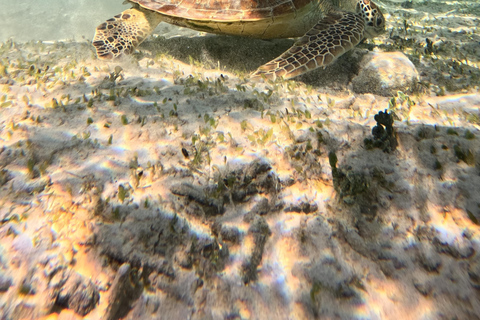 Da Lombok: snorkeling alle 3 Gilis e moto d'acqua a SenggigiDa Lombok: snorkeling e moto d'acqua a Senggigi