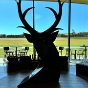 MEL: Private Yarra Valley Wine & Healesville Sanctuary Tours