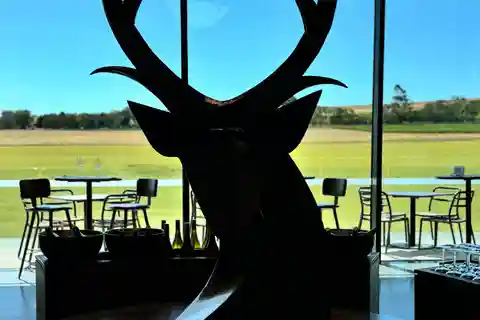 Melbourne: Private Wine tasting Yarra Valley Tours