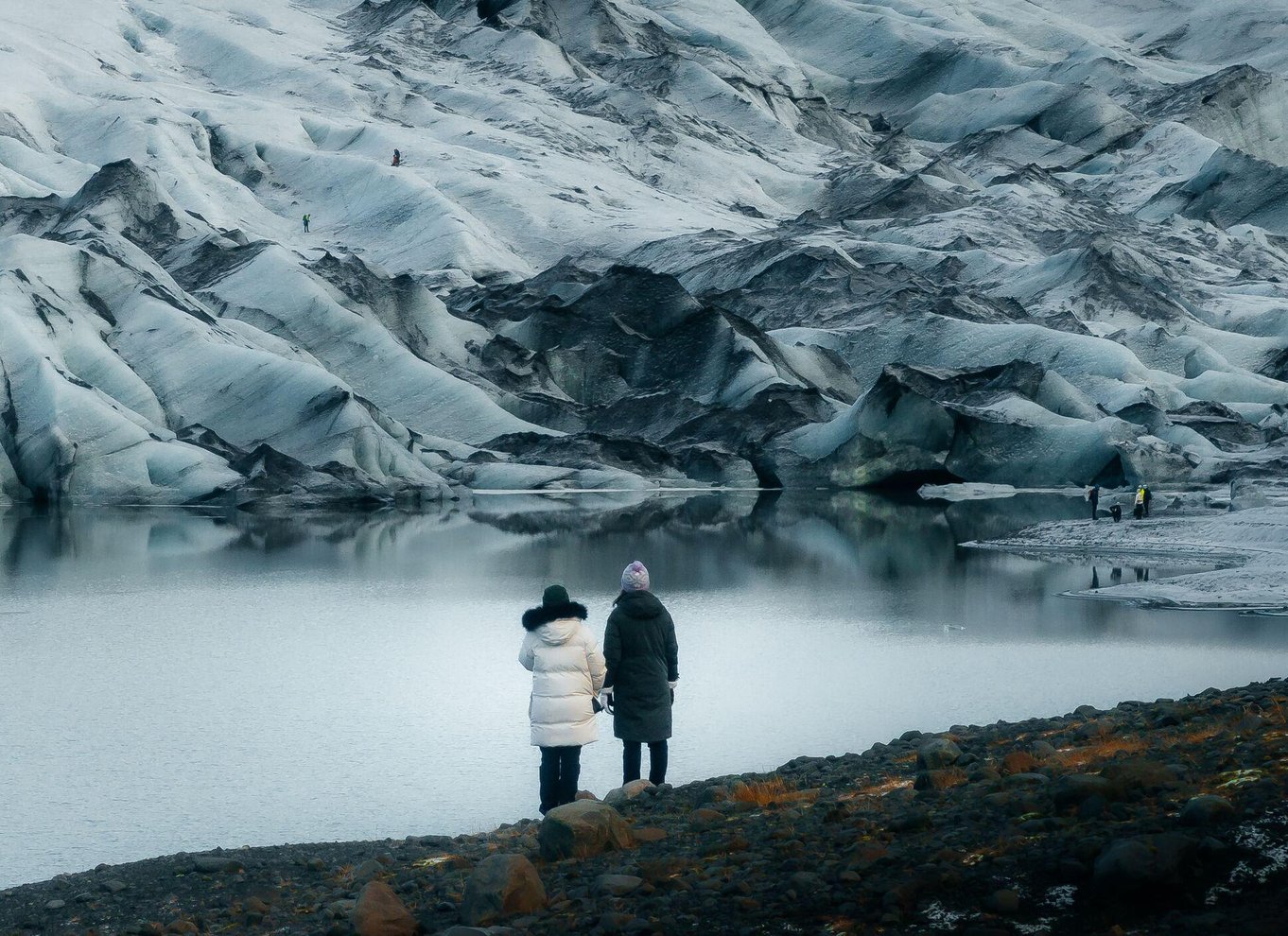 Island: Heldagstur til sydkysten, den sorte strand og vandfald