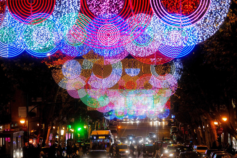 Excursão a Luces de Vigo e Pontevedra com traslado Barco