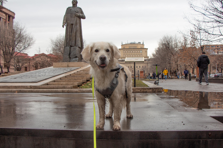 Morning walk in Yerevan: Guided Tour with my dog Charlie