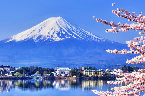 Mt.Fuji Kawaguchiko, Oshino Hakkai,Matcha-Herstellung 1-TagestourAbholung 8:30 Uhr Shinjuku West Exit