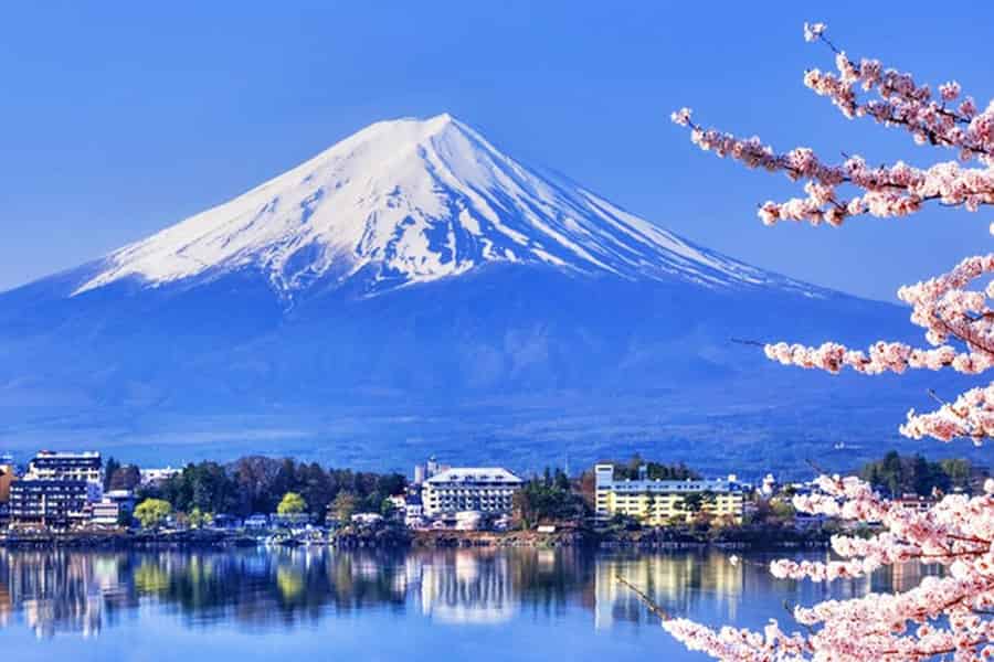 Mt.Fuji Kawaguchiko, Oshino Hakkai,Matcha-Herstellung 1-Tagestour. Foto: GetYourGuide
