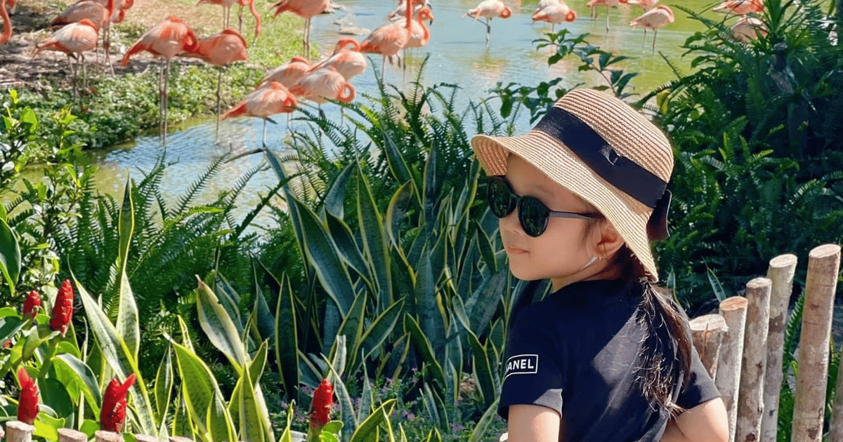 Best Family & Friend Day Trips and Activities in Vietnam 116 Phu Quoc: Vinpearl Safari Park Entry Ticket