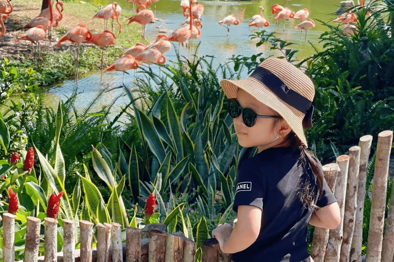 فو كووك: تذكرة دخول منتزه فينبيرل سفاريتذكرة سفاري فينبيرل سفاري