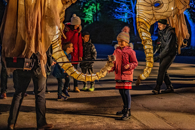 Chester Zoo: Lanterns and Light Entry