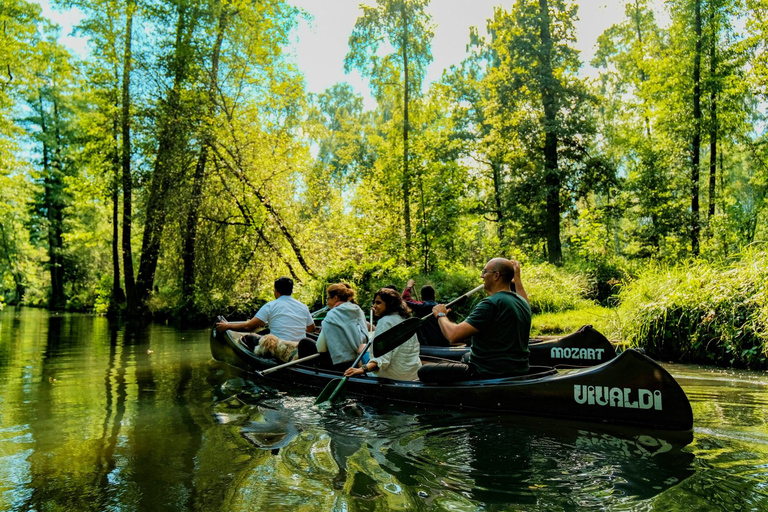 From Berlin: Spreewald Canoe or Kayak Tour with Guide