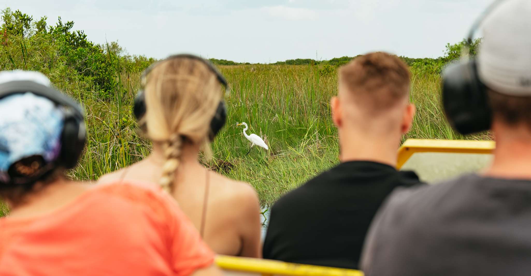 From Miami: Everglades Airboat Ride and Nature Walk