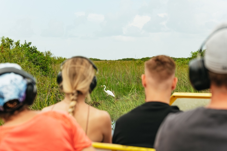 Florida: tour de 1 hora en barco y paseo por Everglades