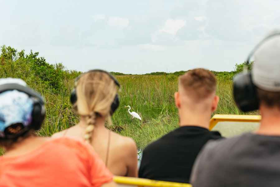 Ab Miami: Everglades Airboat-Tour & Naturspaziergang