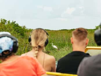 Von Miami aus: Everglades Airboat Ride und Naturspaziergang